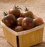 Ungarische Samen Tomaten "Black Cherry", sehr ertragreiche, legendäre Sorte !!