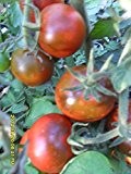 Ungarische Samen Tomaten "Kumato",ertragreiche, legendäre Sorte !!