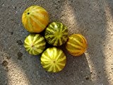 ungarische Sonnenmelone, hoher Ertrag, extra süss, 90 Tage, 10 Samen