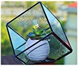 Uniifurn Handmade Clear Glass Plant Terrarium, Tabletop Succulent Planter, also Perfect for Decorative Candle Holder Tea Light Holder