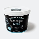 Unique Koi Fadenalgen Stopp 3000 g für 90000 l Teichwasser Algenentfernung