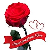 Unvergängliche Rose rot ca. 60 cm ❤ echte haltbare konservierte Rose - Valentinstag Geschenk für Frauen & die Freundin ❤