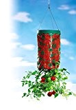 UPP Products Tomaten-Pflanzer dia 24cm/Höhe 66cm / Hängebeet / Tomaten Pflanzgefäß