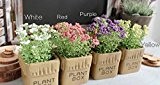 URAQT Künstliche Blumen Gypsophila im Blumentopf Keramiken, Kunstblume / Kunstpflanze, für Wohnaccessoires & Deko