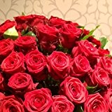 VERSANDKOSTENFREI 10 Rote Rosen mit XXL-Blütenköpfen + Gratis-Grußkarte
