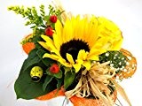 VERSANDKOSTENFREI Blumenstrauß "Sonnenlicht" + kostenlose Glückwunschkarte