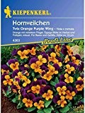 Viola x cornuta Hornveilchen Twix Orange Purple Wing