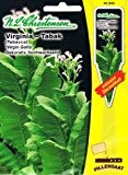 Virginia Tabak "Virgin Golta" Tobacco Nicotiana tabacum Echter Rauchtabak