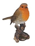 Vivid Arts British Birds Robin Größe F