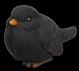 Vivid Arts Collection Blackbird Größe D