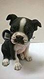 Vivid Arts Pet Pals - Boston Terrier Puppy schwarz/weiß