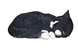 Vivid Arts Real Life B schlafende Katze, schwarz/weiß