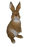 Vivid Arts Real Life Kaninchen, ausschauhaltend, Kunstharz Gartendeko (Größe C)