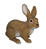Vivid Arts Real Life Kaninchen, groß, Kunstharz Gartendeko (Größe B)