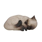 Vivid Arts Siamesische schlafende Katzen