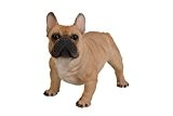 Vivid Arts XRL-FRBD-A Französische Bulldogge Hund, beige,  Kunstharz Gartendeko