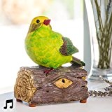 Vogel Dekoration,, dekorativ, Vogel, singt, Sonore, Dummy, Garten, mit Sound und Bewegungsmelder