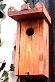 Vogelhaus Nistkasten Villa Vogelhäuschen zum aufstellen oder hinhängen aus massivem Holz 29 cm (Vogel)
