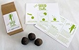 'Vogelhochzeit' Seedballs - 10er Packung Seedbombs