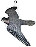 Vogelschreck "fliegend" Vogelscheuche Raubvogel Falke hängend, 54 cm