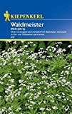 Waldmeister-Saatgut: Waldmeister, Galium odoratum - 1 Portion