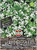 Waldmeister SPERLING´s Grüner Mai