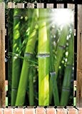 Wallario Garten-Poster Outdoor-Poster - Bambus im Sonnenschein in Premiumqualität, Größe: 61 x 91,5 cm, für den Außeneinsatz geeignet