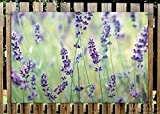 Wallario Garten-Poster Outdoor-Poster - Lila Blumenfreude - Violette Pflanzen auf der Wiese in Premiumqualität, Größe: 61 x 91,5 cm, für ...