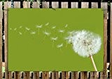 Wallario Garten-Poster Outdoor-Poster - Pusteblume auf der Wiese mit fliegenden Samen in Premiumqualität, Größe: 61 x 91,5 cm, für den ...