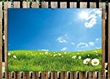 Wallario Garten-Poster Outdoor-Poster - Sommerwiese - Weiße Gänseblümchen vor blauem Himmel in Premiumqualität, Größe: 61 x 91,5 cm, für den ...