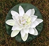 Wasserlilie Schwimmend Lotusblüte Lotusblume Seerose 22 cm groß künstliche Blumen sehr original wie echt Deko Teichrose (weiß)
