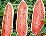 Wassermelone Jubilee - 40 Samen