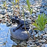 Wasserspeier Figur Frosch auf Stein für Gartenteich Brunnenbecken Dekofigur Wasserspiel Teich