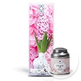 Wax-Hyazinthe rosa-blühend und Tafelgut Für Dich Tee