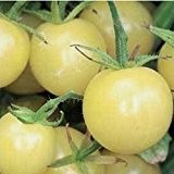 Weiße, süße, sehr saftige Cherry-Tomate - Schneewittchen - Snow white - 20 Samen