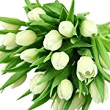 Weiße Tulpen im Bund - Frühlingsblumen