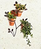 Wenko 5857050500 Wand-Blumentopfhalter Ranke für 3 Topfpflanzen, Metall Eisen, 56 x 1,3 x 43 cm, braun
