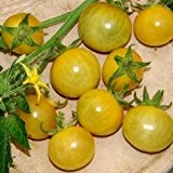 White Currant Tomato Seeds