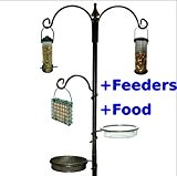 Wild Bird Garden Metall Futterstation ~ inkl. 3 Futternäpfen & Lebensmittel Samen/Talg/nuss