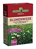 Wildblumenwiese (10 kg)