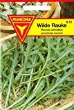 Wilde Rauke, winterhart, Rucola selvatica, Samen für ca. 2 lfm