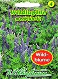 Wildlupine Lupinus perennis Lupine mehrjährig Staude Wildblumen