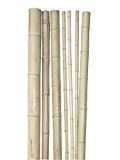 Windhager Bambusrohr, 200 x 9-10 cm, beige
