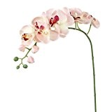 winomo Simulation Schmetterling Orchidee Künstliche Blume Pflanze Home Dekoration (weiß)