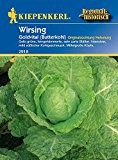 Wirsing: Goldvital (Butterkohl), Brassica oleracea var. - 1 Portion