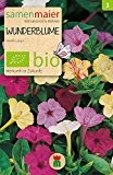 Wunderblume | Bio-Wunderblumensamen von Samen Maier
