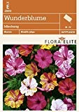 Wunderblume Mischung von Flora Elite
