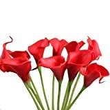 Xjp Artificial Calla Flower Decoration for Wedding, Party, Garden, Home (Red)