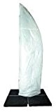 Zangenberg Schutzhülle für Marktschirm Manhattan 500cm / 5m, Polyester, weiß, mit Handstab und Reißverschluss