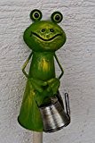 Zaunhocker Frosch mit Gießkanne-lustiger Zaungucker Gartenfrosch -Gartenzaungucker -aus Metall- für Haus und Garten,stabile Ausführung